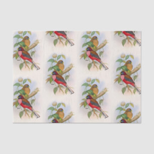 Beautiful Vintage Bird Illustration Decoupage Tissue Paper