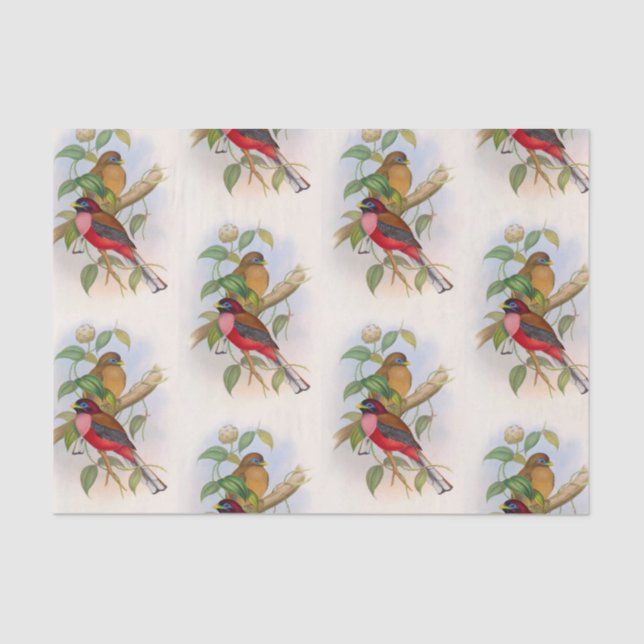 Beautiful Vintage Bird Illustration Decoupage Tissue Paper (Front)