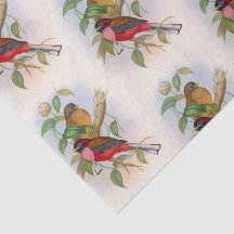 Beautiful Vintage Bird Illustration Decoupage