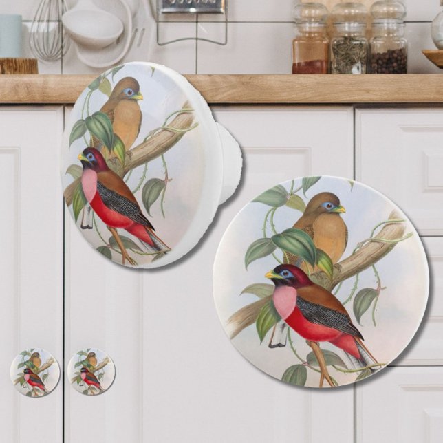 Beautiful Vintage Birds Ceramic Knob - Red and Tan (Add vintage charm and style to your kitchen, bedroom or bathroom with these beautiful bird knobs!)