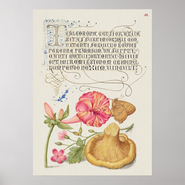 Beautiful Vintage Botanical Illustration Poster (Front)