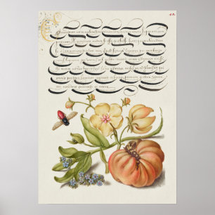 Beautiful Vintage Botanical Illustration Poster