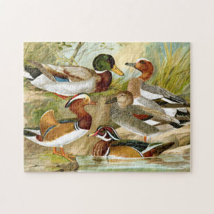 Beautiful Vintage Ducks Jigsaw Puzzle