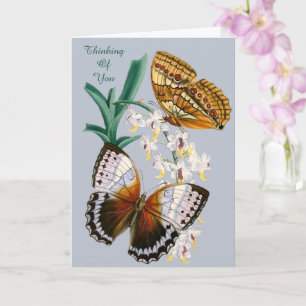Beautiful Vintage Floral Butterfly Illustration Card