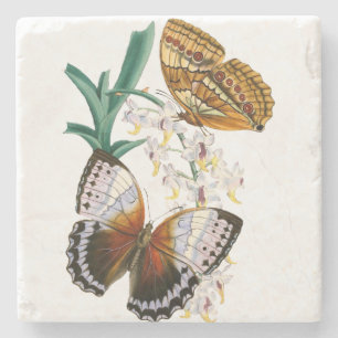 Beautiful Vintage Floral Butterfly Illustration Stone Coaster