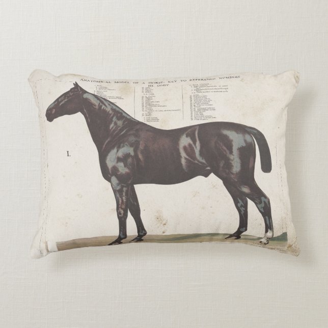 Beautiful vintage horse pillow (Front)