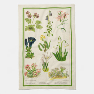 Beautiful Vintage Inspired Colour Botanical Floral Kitchen Towel