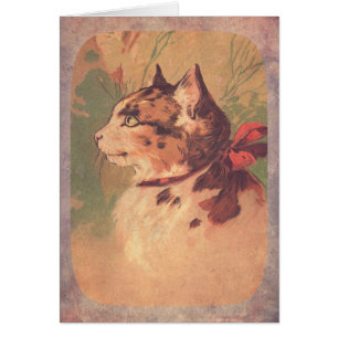 Beautiful Vintage Kitty