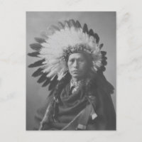 Beautiful Vintage Native American Portrait Postcar