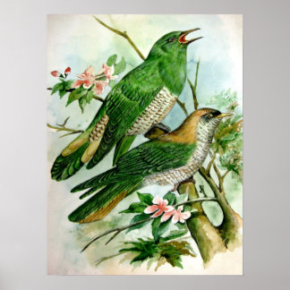 beautiful vintage poster painting 27