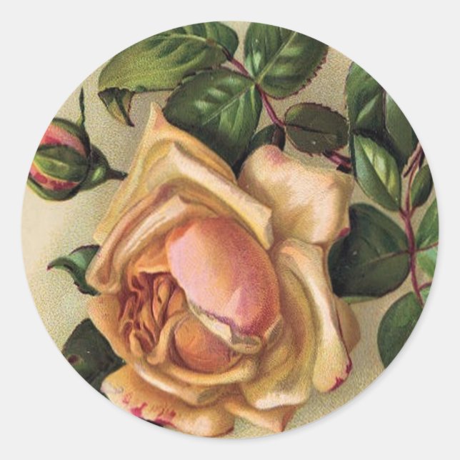 *Beautiful Vintage Roses* Classic Round Sticker (Front)