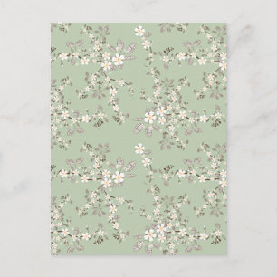 Beautiful vintage tree blossom white flowers postcard