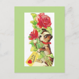 Beautiful Vintage Valentine Boston Terrier Puppy Holiday Postcard