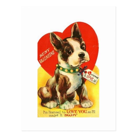 Beautiful Vintage Valentine Boston Terrier Puppy Postcard