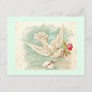 BEAUTIFUL Vintage Victorian Dove Letter Postcard
