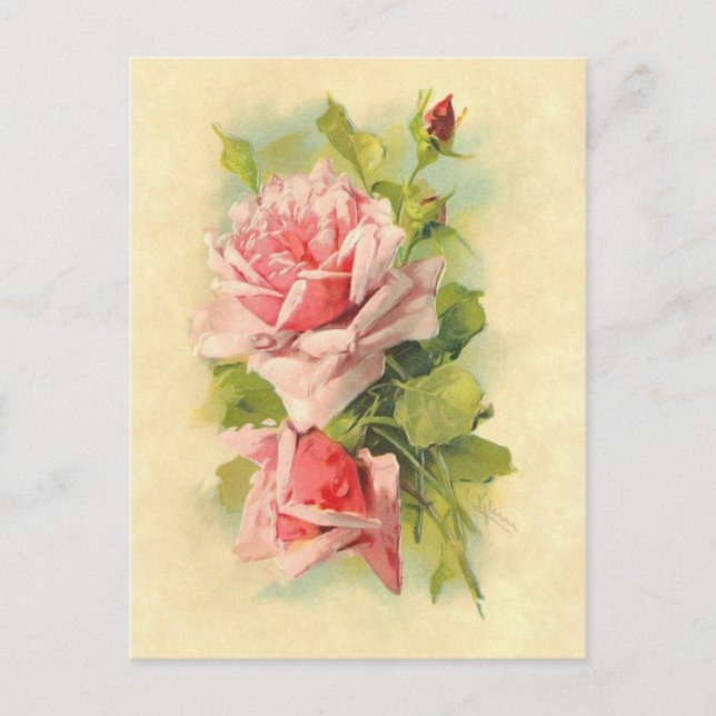Beautiful Vintage Victorian Flower Roses Bouquet Postcard (Front)