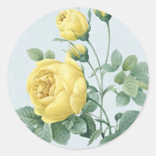 Beautiful vintage yellow rose sticker