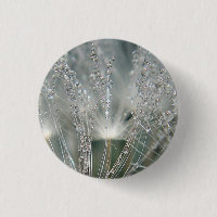 Beautiful water droplets