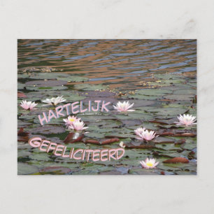 Beautiful Water Lilies Gefeliciteerd Postcard