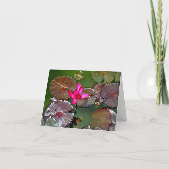 Beautiful Water Lily Card (Front)