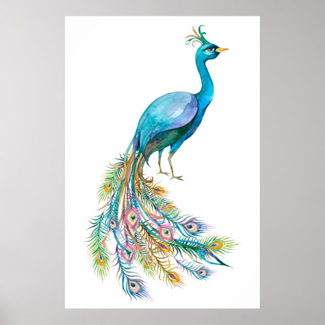 Beautiful watercolor blue peacock illustration poster (Front)