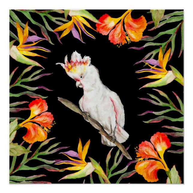  Beautiful watercolor cacatau parrot hand drawing Poster (Front)