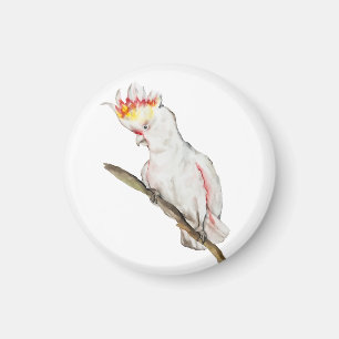 Beautiful watercolor cockatoo parrot hand drawing magnet
