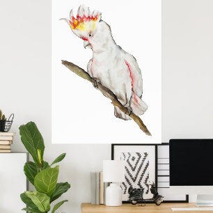 Beautiful watercolor cockatoo parrot hand drawing poster