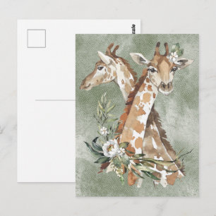 Beautiful Watercolor Giraffes  Postcard