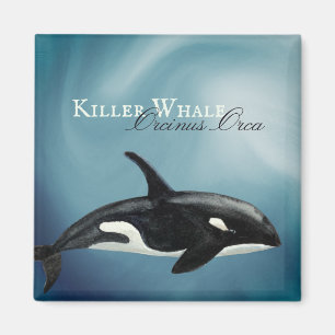 Beautiful Watercolor Killer Whale, Orcinus Orca Magnet
