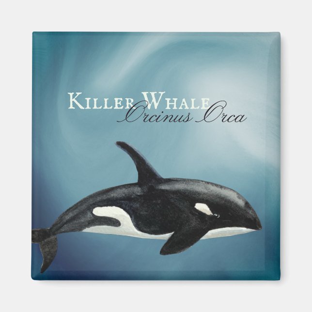 Beautiful Watercolor Killer Whale, Orcinus Orca Magnet (Front)