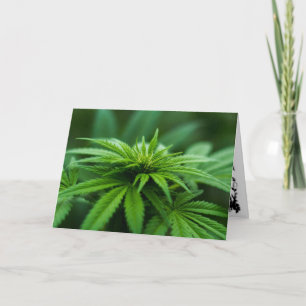 Beautiful Weed Card