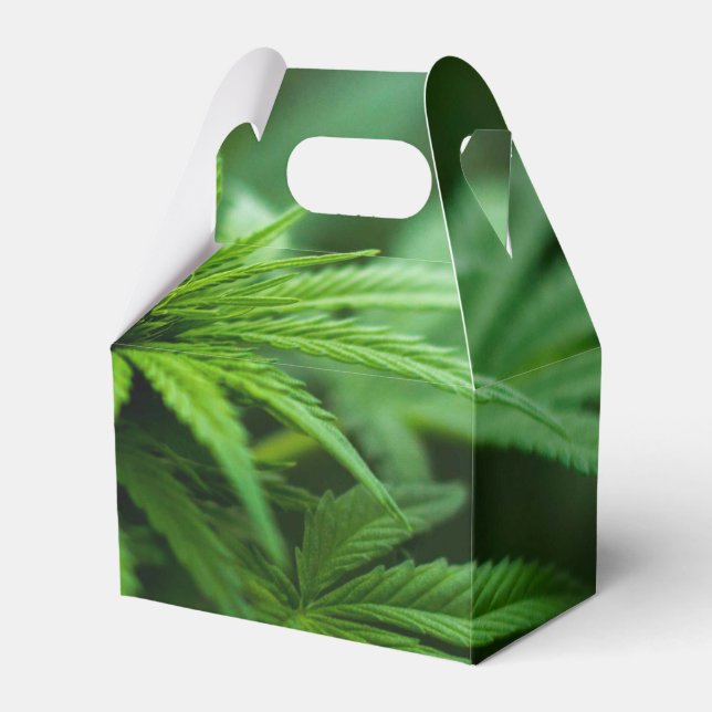 Beautiful Weed Favor Box (Front Side)