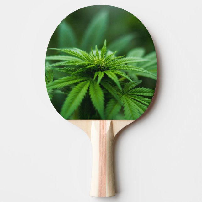 Beautiful Weed Ping Pong Paddle (Front)