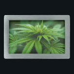 Beautiful Weed Plant Belt Buckle<br><div class="desc">Photograph of nature's medicine</div>