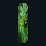 Beautiful Weed Plant Skateboard<br><div class="desc">Photograph of Natures Medicine</div>