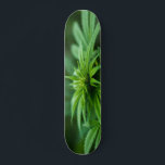 Beautiful Weed Plant Skateboard<br><div class="desc">Photograph of Natures Medicine</div>