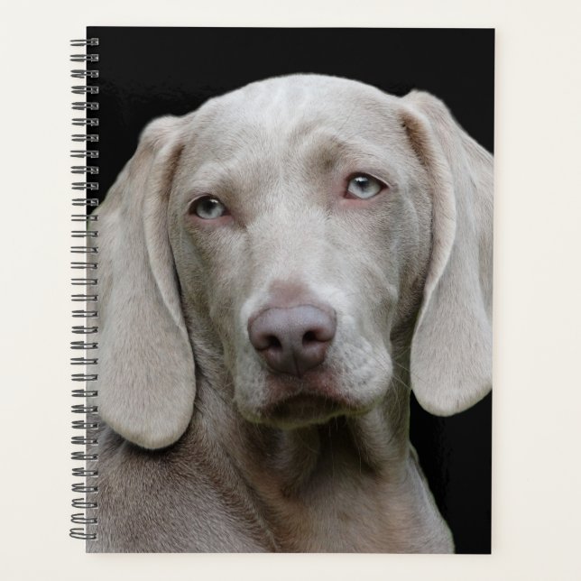 Beautiful Weimaraner Hunting Dog Planner (Front)