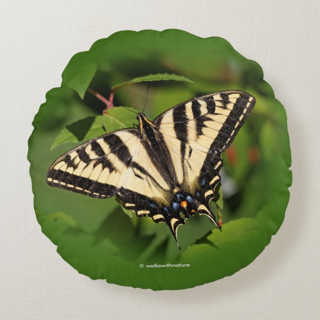 Beautiful Western Tiger Swallowtail Butterfly Round Pillow (Front)