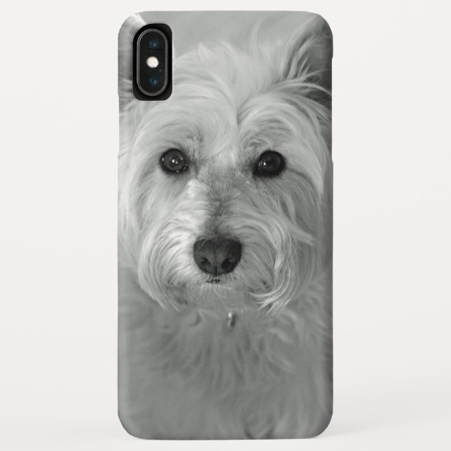 Beautiful Westie Dog iPhone Case (Back)