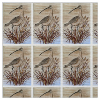 Beautiful Whimbrel Fabric