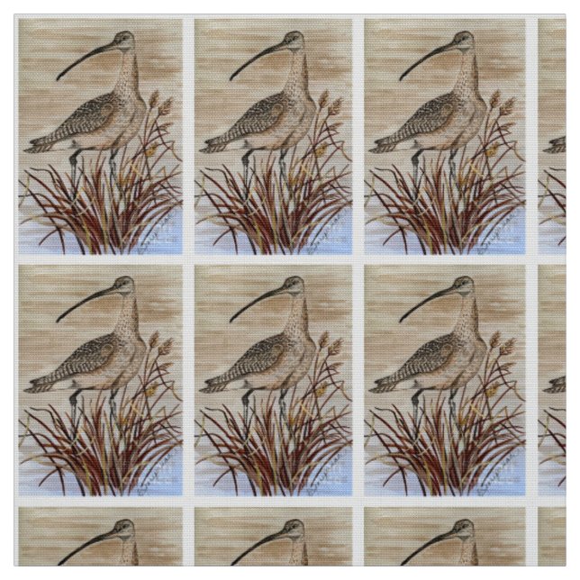 Beautiful Whimbrel Fabric (Swatch)