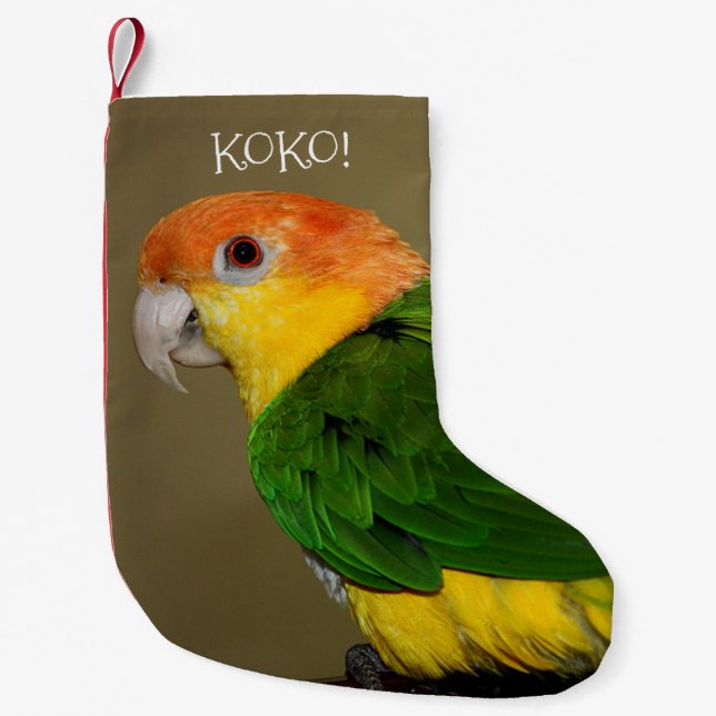 Beautiful White Bellied Caique Parrot Posing Small Christmas Stocking (Front)