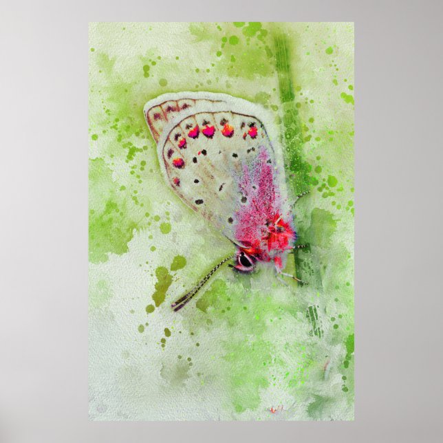 beautiful white butterfly on a stem painting  poster (Front)