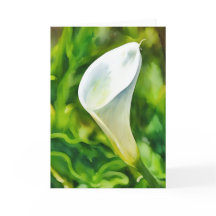 Beautiful White Calla Lily Garden Art Note Card