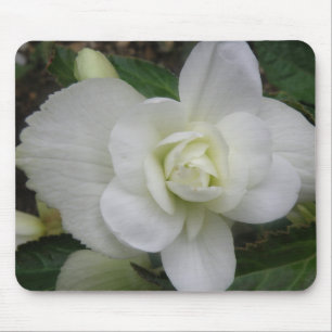 Beautiful White Carnation Mousepad