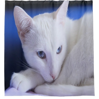 Beautiful White Cat/Add Your Pet's Photo