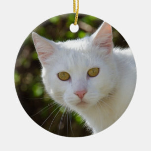 Beautiful White Cat Ceramic Ornament
