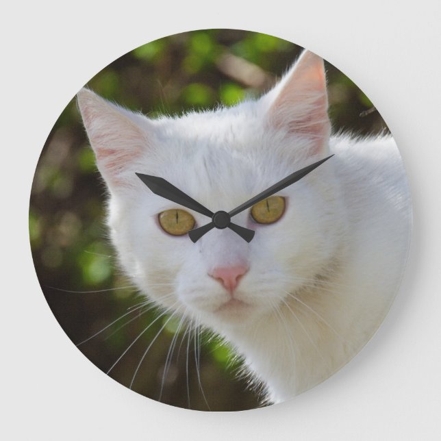 Beautiful White Cat Large Clock (Front)