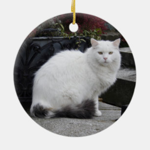 Beautiful White Cat On A Grave Ceramic Ornament